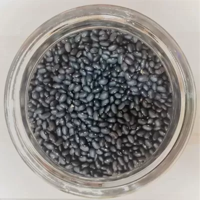 Feijão Preto BIO - granel