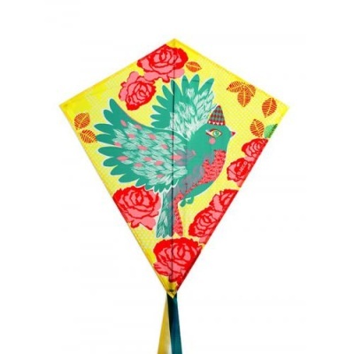 Papagaio com Desenho de Pássaro (Bird) - Djeco Toys