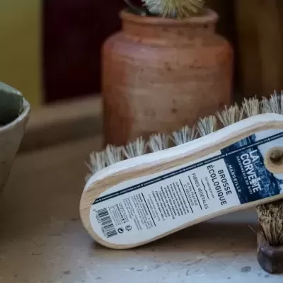 Escovas de limpeza com cerdas naturais e cabo de madeira sobre superfície de pedra com vaso ao fundo