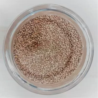 Lentilhas Castanhas BIO - Granel Lentilhas Castanhas BIO - Granel