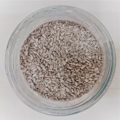 Sementes de Girassol BIO - Granel