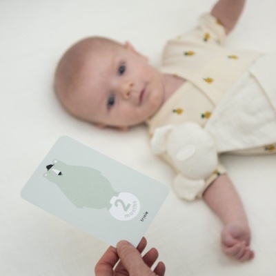 Milestone Cards - Trixie