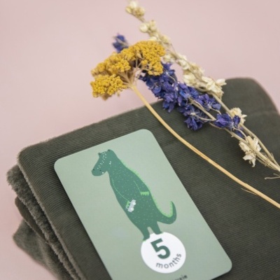 Milestone Cards - Trixie