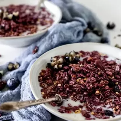 Granola Berry Biológica sem Glúten (mirtilo & baunilha) a Granel - SIMPLU