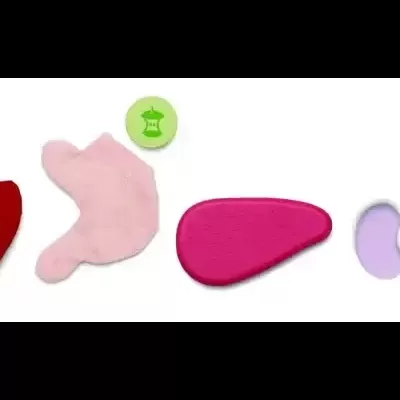 Conjunto de Cirurgião - Plantoys