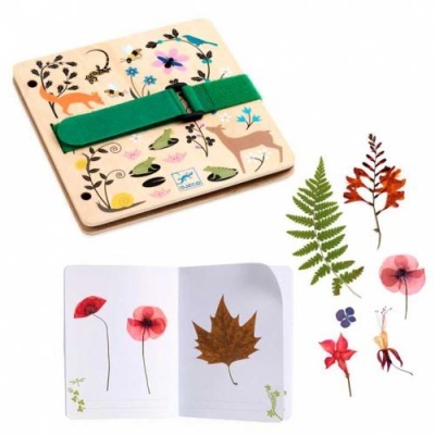 Introdução à Botânica - Caderno para Plantas - Djeco Arts & Crafts