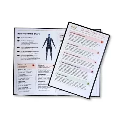 Symphony of the Cells Body Systems Chart and Reference Card