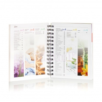 Las Bases Esenciales - 6ª Edición (espanhol) Las Bases Esenciales - 6ª Edición (espanhol)