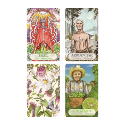 Quatro cartas ilustradas com plantas e figuras, três com texto: BASIL, ARBORVITAE, BERGAMOT.