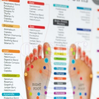 Oil Use Guide for Reflex Points (Foot & Hand)