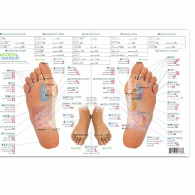 Reflexologia manos e pies Espanhol