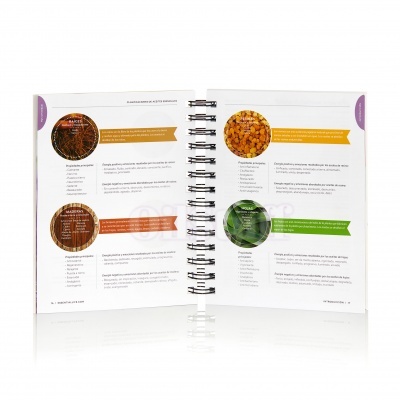 Las Bases Esenciales - 6ª Edición (espanhol) Las Bases Esenciales - 6ª Edición (espanhol)