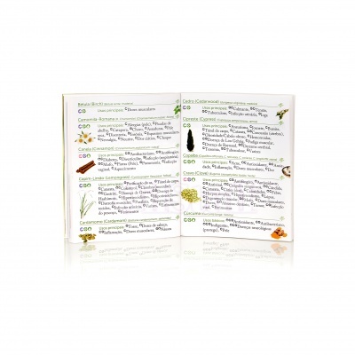 Introdução Modern Essentials - Unidade (Português)