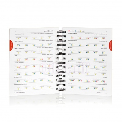 Las Bases Esenciales - 6ª Edición (espanhol) Las Bases Esenciales - 6ª Edición (espanhol)