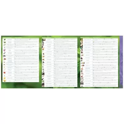 Tabela verde com três colunas de texto em português sobre plantas e suas características