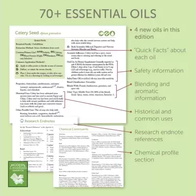 Modern Essentials Handbook 15th edition Inglish