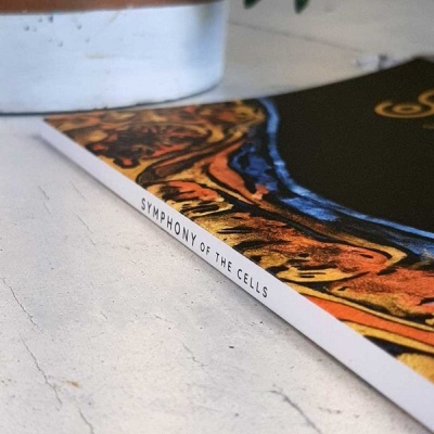 Sinfonia das Células  - Livro Aplicação - PORTUGUÊS