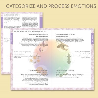 Modern Essentials Emotions: A Workbook for Emotions and Essential Oils