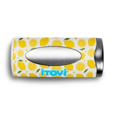 Pen USB decorado com limões e marca iTOVi