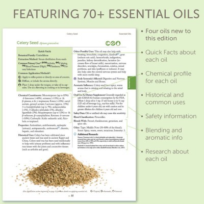 Modern Essentials - 12ª edição (inglês)