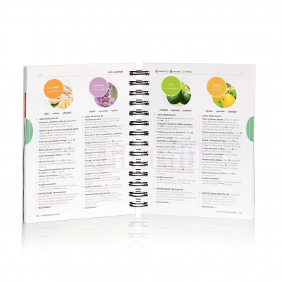 Las Bases Esenciales - 6ª Edición (espanhol) Las Bases Esenciales - 6ª Edición (espanhol)