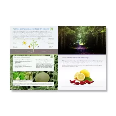 Modern Essential Guia 15ª Edition ESPANHOL