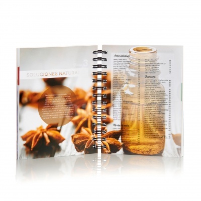 Las Bases Esenciales - 6ª Edición (espanhol) Las Bases Esenciales - 6ª Edición (espanhol)