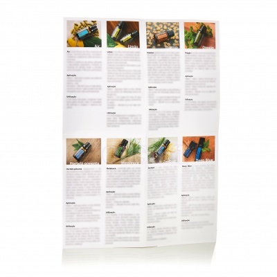 Panfletos 10 Óleos Espanhol