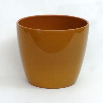 Vaso de cerâmica castanho brilhante com fundo branco