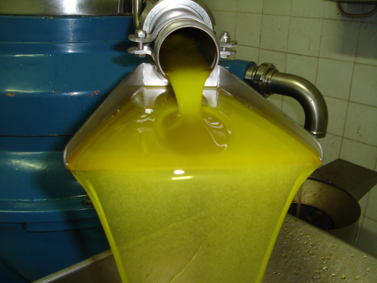 Azeite a ser vertido em processo industrial com maquinaria azul e parede azulejada