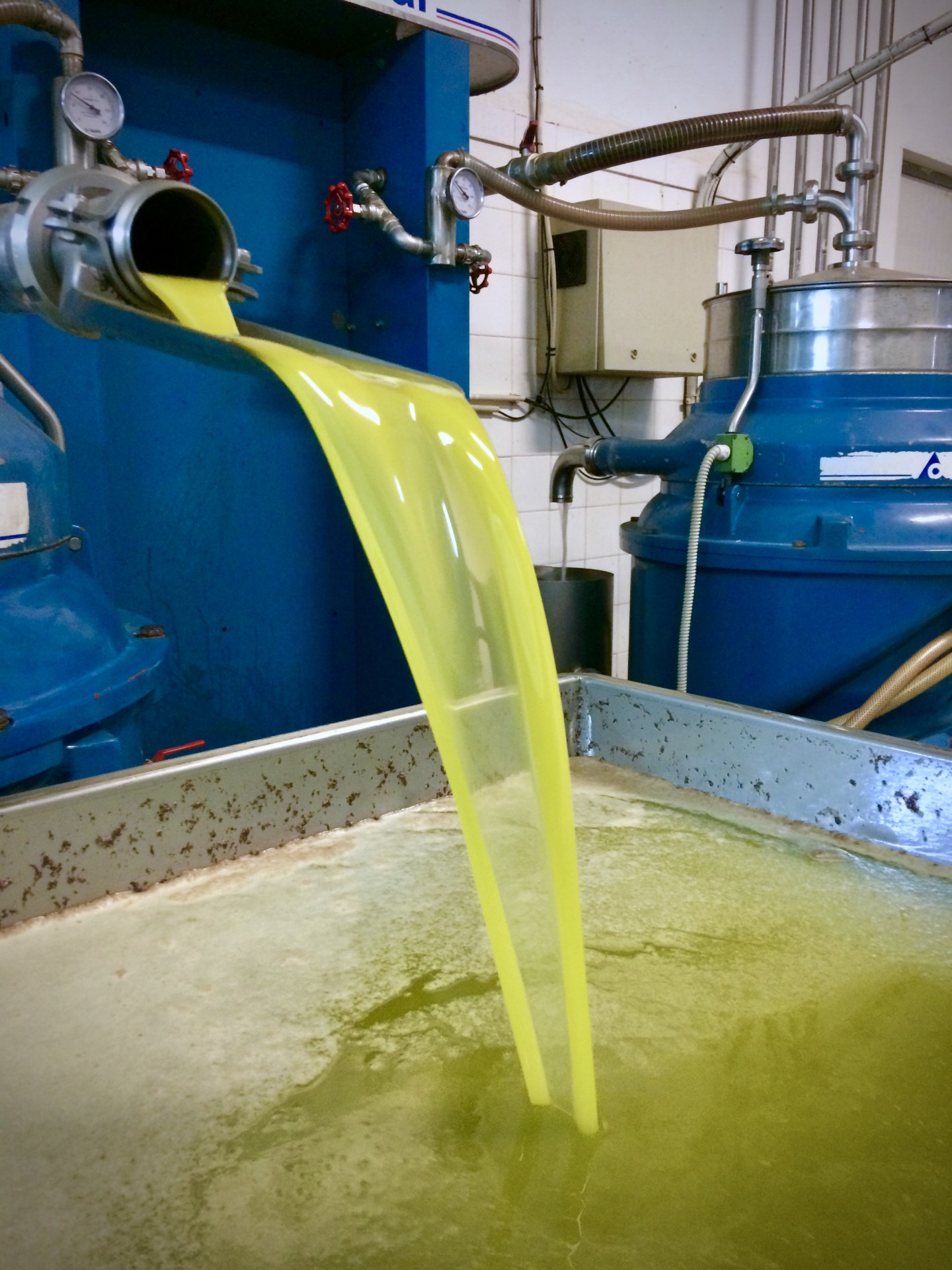 Ano novo, Azeite novo!!