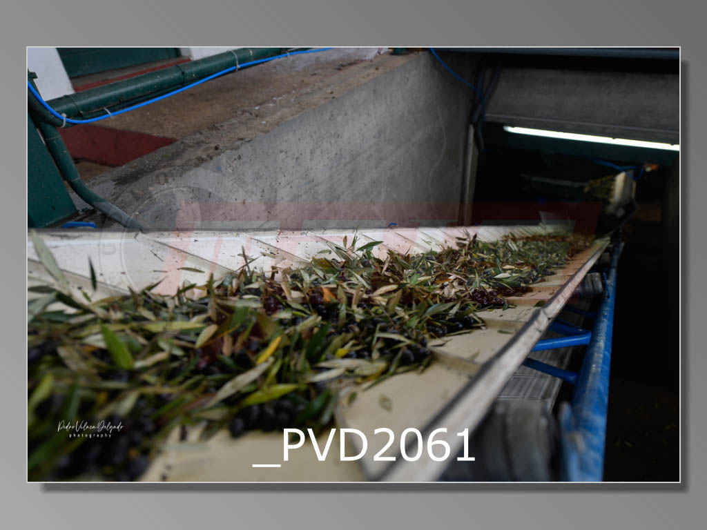 Tapete perfumado com folhas secas sobre estrutura metálica azul