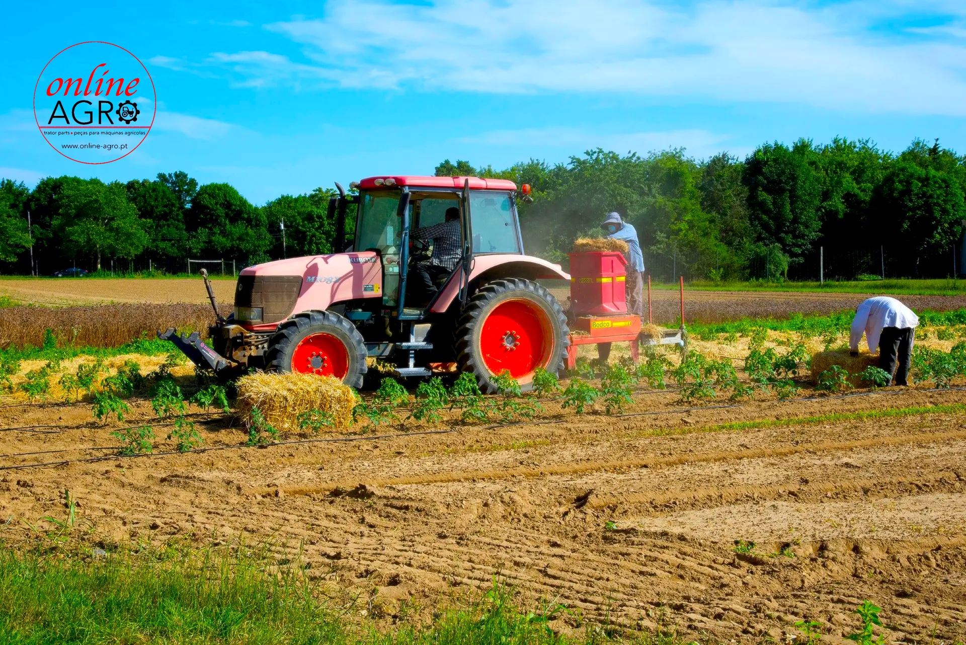 DIA DO TRBALHADOR DIA DO TRBALHADOR