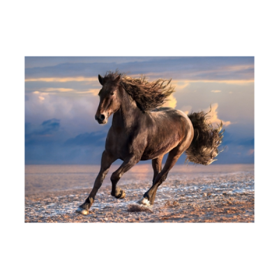 Free horse - 1000 peças 39420