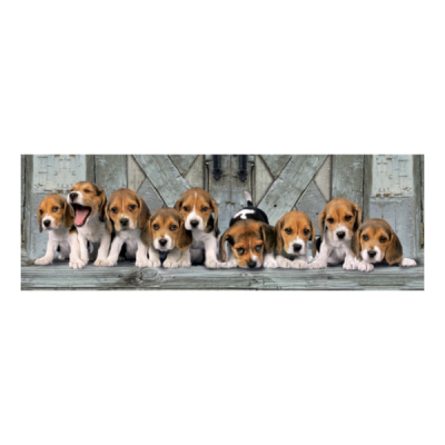 Beagles - 1000 peças 39435