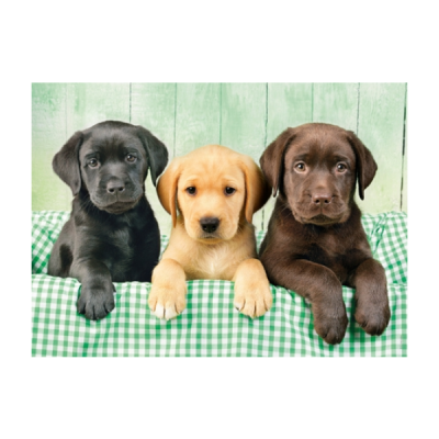 Três Cachorrinhos - 1000 peças 39279