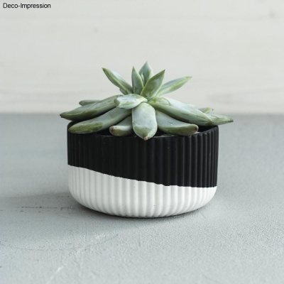 Pó Ceramico Raysin 250 Preto 4Kg