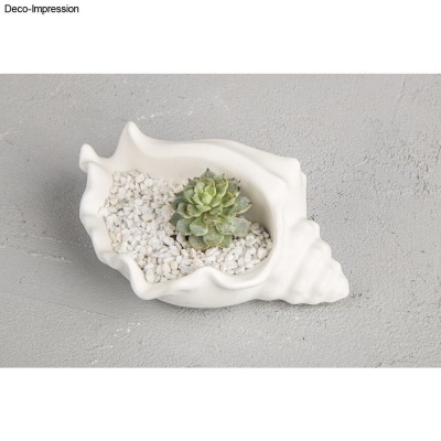 Vaso concha cerâmica branca com suculenta verde e pedras brancas