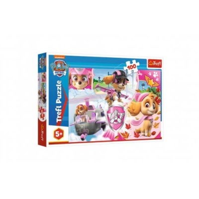 Puzzle Patrulha Pata 100 peças