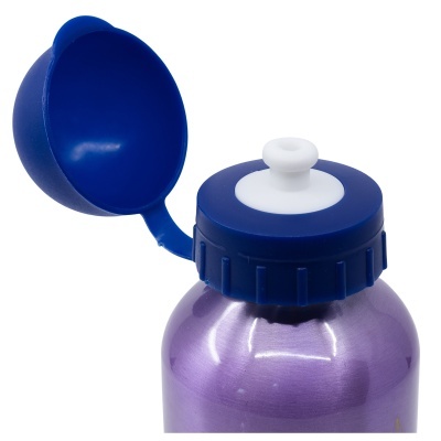 Garrafa de alumínio Frozen 400 mL