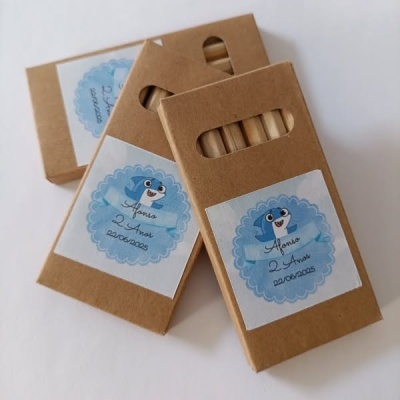 Conjunto 6 Lápis de Pintar