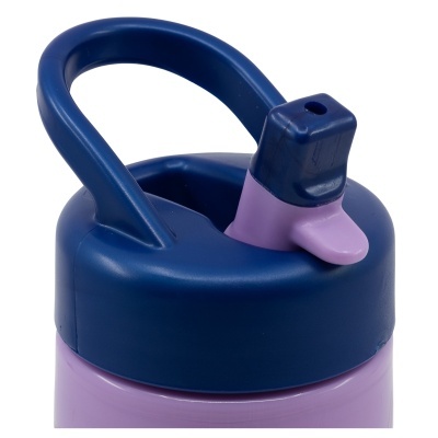 Garrafa Frozen de 410 mL