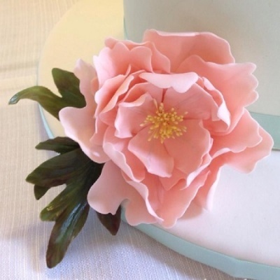 Conj. 7 Cortadores Peónia