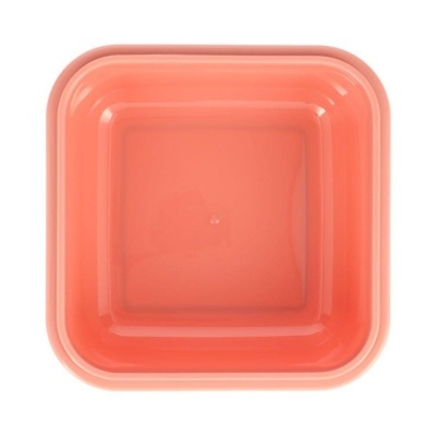 Caixa Lancheira Fadas