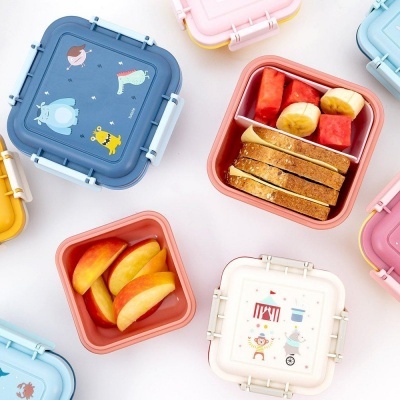 Caixa Lancheira Fadas Pequena