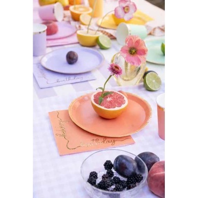 Guardanapos Coloridos