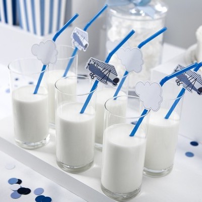 Palhinhas Aviões Little Plane