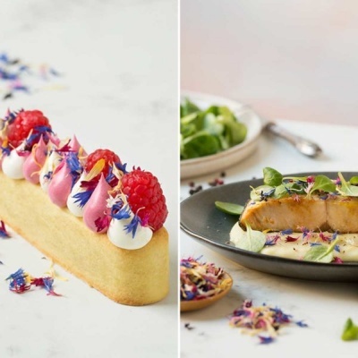 Flores Comestíveis Cores Verão