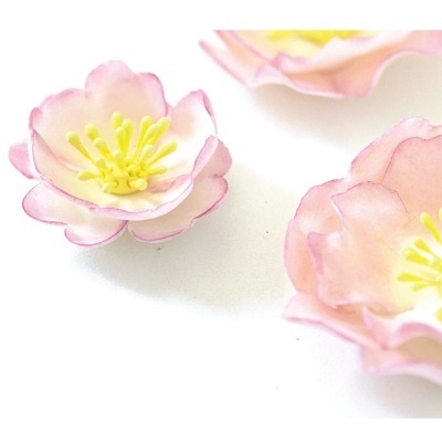 Conj. 5 Cortadores Rosa Selvagem