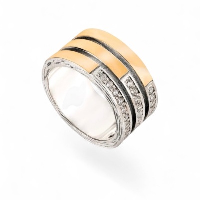 Anel Prata e Ouro Zeik Joyas